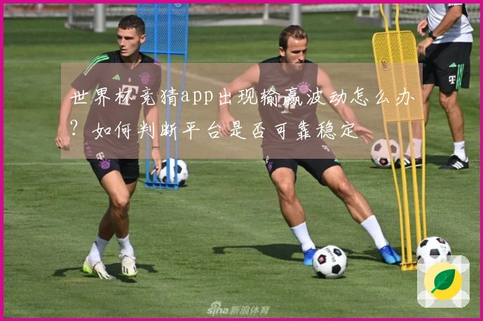 世界杯竞猜app出现输赢波动怎么办？如何判断平台是否可靠稳定